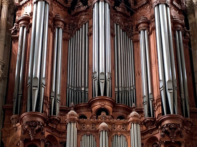 Organ_03